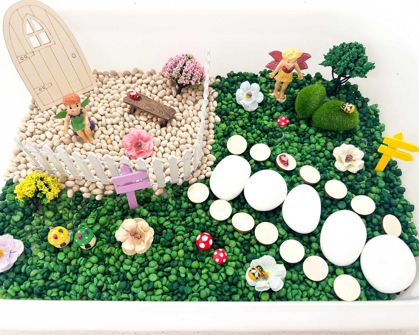 Fairy Garden